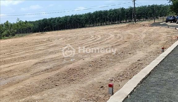 Cần bán gấp lô đất tân lợi trong tuần này diện tích 216m2 giá chỉ 350tr - Ảnh 1