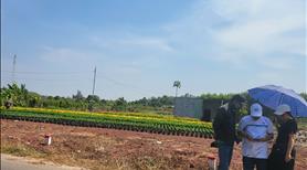 Bảng Giá Tổng Hợp Đất Nền Thị Trấn Phước Hải Giá Rẻ Tháng 5 Năm 2025 - Ảnh 8