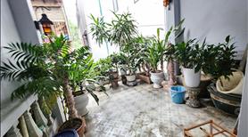 Lê quý đôn- hai bà trưng-56m-11tỷ-196tr/m (HIẾM) - Ảnh 2