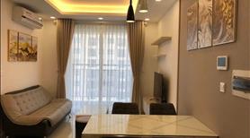 Bán căn hộ Saigonres Plaza, Giá 2 tỷ455, Diện tích 65m2 - Ảnh 2