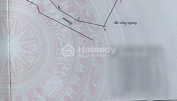 Siêu phẩm nghỉ dưỡng + đầu tư 1600m2, Về Phan Thiết- biển Đồi Dương chỉ 15p - Ảnh 1