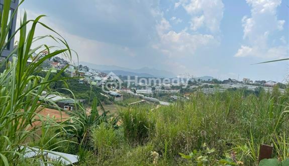 Sở hữu nhanh tay lô đất view đẹp tại Nam Hồ- phường 11- Đà Lạt - Ảnh 1