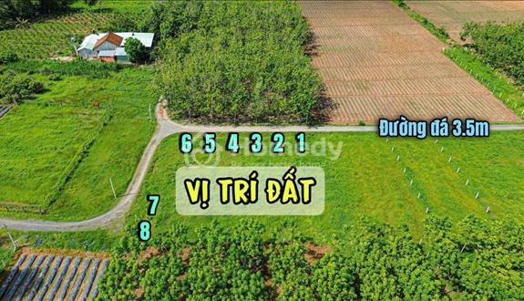 Dự án đất nền ấp rộc a thạnh đức gò dầu tây ninh - Ảnh 1