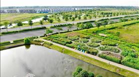 Bán Nhà phố 80m2 The Greenery Hải Phòng view sông, giá 5,8x tỷ - ngay Trung tâm Hành chính mới - Ảnh 8