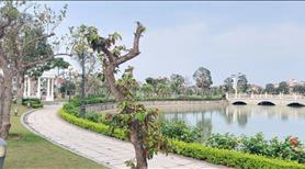 Bán biệt thự view hồ siêu đẹp khu đô thị phú quý goldenland hải dương - Ảnh 4