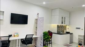 35m2 - Ngay góc - Full nội thất - Bán 1.6 tỷ - Căn hộ Boulevard Q7 - Ảnh 2