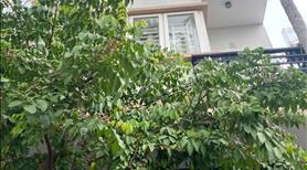 Chính chủ cần bán gấp - nhà mặt tiền KDC Bình Nhựt - Ảnh 2