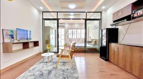 Căn hộ 1 phòng ngủ 45m2 full nội thất cao cấp cửa sổ ban công siêu thoáng đường CMT8 - Ảnh 2