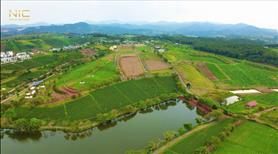 Đất nền thổ cư và Homestay ngay Đồi Chè Tâm Châu Bảo Lộc - Ảnh 2