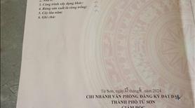 bán lô đất tại hương mạc từ sơn bắc ninh , diện tích thoải mái - Ảnh 5