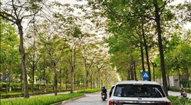 Chung cư cao cấp Par KiaRa, Hà Đông, 121m2, lô góc, 13.5 tỷ  - Ảnh 10