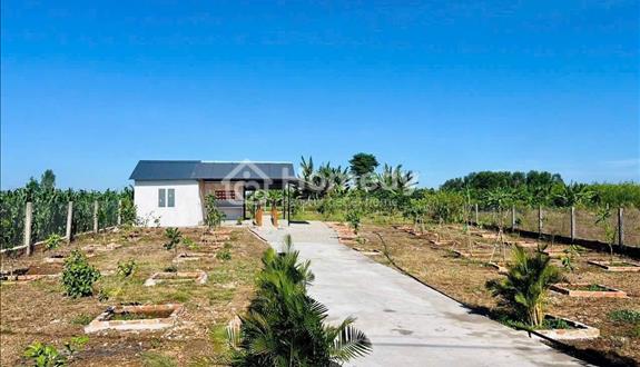 Bán nhà vườn xã Long Tân huyện Long Đất giáp ranh thành phố Bà Rịa - Ảnh 1