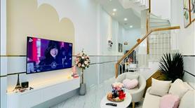 Bán nhà xây mới 100%, gần cầu Bà Hom, tỉnh Lộ 10, Quận Bình Tân - Ảnh 2