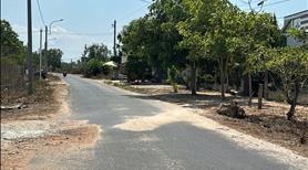 Bán gấp 5mx38m đất ont đường nguyễn thông - tx lagi 1.2 tỷ giá ngộp - Ảnh 3