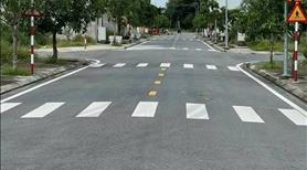 Chính chủ cần bán đất ngay KCN Vsip  đường Dt742 giá rẻ  - Ảnh 2