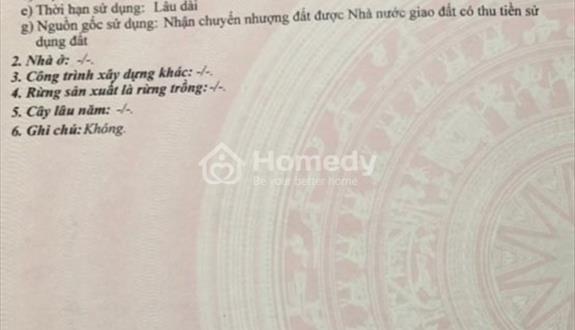 Bán đất bàu mạc 6, phường hoà khánh bắc, quận liên chiểu - Ảnh 1