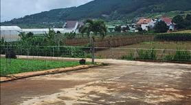 Bán đất thổ cư giá rẻ, chính chủ, xã HiệpThạnh, Lâm Đồng, gần sân bay 4 Liên Khương. - Ảnh 4