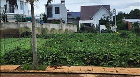 Bán đất thổ cư giá rẻ, chính chủ, xã HiệpThạnh, Lâm Đồng, gần sân bay 4 Liên Khương. - Ảnh 8