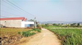 Đất thổ cư giá rẻ, gần sân bay Liên Khương, gần quốc lộ 20, đường ô tô 7 chỗ vào tận đất. - Ảnh 3