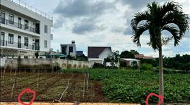 Bán đất thổ cư giá rẻ, chính chủ, xã HiệpThạnh, Lâm Đồng, gần sân bay 4 Liên Khương. - Ảnh 9