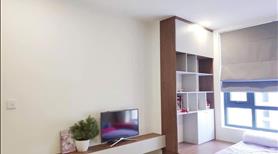 Chính Chủ Cho Thuê căn hộ 70m, 2PN 2WC, 14tr5, Central Premium Quận 8 - Ảnh 10