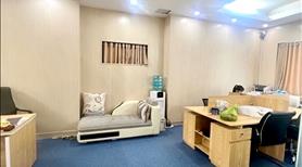 Bán Biệt thự Trần Thủ độ, vị trí view thoáng, đẳng cấp, an sinh đỉnh, DT 368,4m, 4 tầng, MT 18,8m, - Ảnh 2