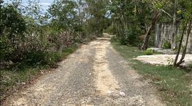 Bán 2282m2 đất tân phước - tx lagi giá ngộp sổ hồng riêng - Ảnh 3
