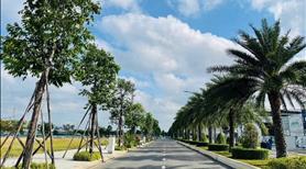 Đất nền vị trí đẹp tại Long An - Sổ hồng riêng - Ảnh 2