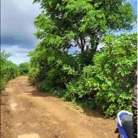 Bán 2009m2 đất tổ 32 Liên Nghĩa Đức Trọng, Lâm Đồng