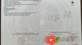 Bán đất thổ cư chính chủ, giá rẻ,  gần sân bay Liên Khương, xã Hiệp Thạnh, tỉnh Lâm Đồng. - Ảnh 3