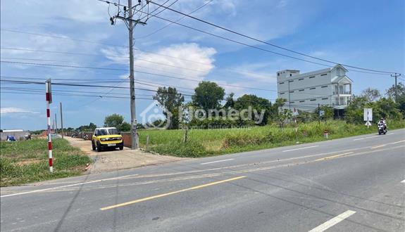 Bán đất mặt tiền Ql 50 - SHR - Giá 450 triệu- 100m2 - Ảnh 1