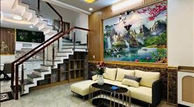 Siêu hot!! Hàng ngộp càng bán gấp hẻm Huỳnh Mẫn Đạt, P2, Quận 5, DT 51m2, Giá 2tỷ350, sổ hồng riêng - Ảnh 2