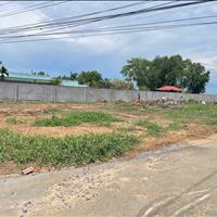 Bán đất Mt Ql 50 - Gò công, Giá 500tr, Dt 100m2, Shr, công chứng sang tên ngay