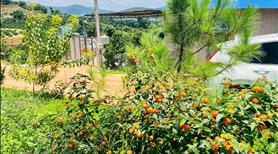 Bán 391m2 đất Nam Ban, sẵn 210m2 ODT, view toàn cảnh thị trấn - Ảnh 3