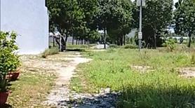 Bán gấp lô đất mặt tiền đường nhựa 20m-ngay KCN Bàu Bàng, giá chỉ 890Tr - Ảnh 2