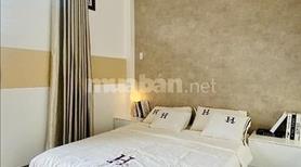 Hốt nhanh chứ để Hết,40m2-2PN 1/Võ Thành Trang-Tân Bình Chỉ 2tỷ4.SHR đang cho thuê 15tr ALO Em Liền - Ảnh 10