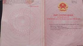 Nhà vila cấp 4 - Ảnh 7