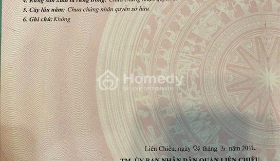 Bán đất mặt tiền đường trần nguyên đán - gía đầu tư - Ảnh 1