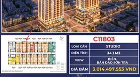 Căn hộ Sun Costa Residence - Siêu phẩm BĐS dòng tiền - Sinh lời bền vững chỉ từ 2.5 tỷ đồng - Ảnh 12