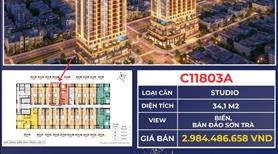 Căn hộ Sun Costa Residence - Siêu phẩm BĐS dòng tiền - Sinh lời bền vững chỉ từ 2.5 tỷ đồng - Ảnh 9