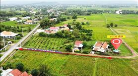 Bán đất Ninh thọ, Ninh hòa, Khánh hòa giá cực rẻ 3tr/m2 full thổ cư, ngang 6,50 dài 35,70 - Ảnh 2