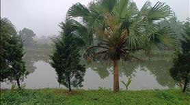 Bán đất thổ cư view hồ - Giá chỉ 2,1 tỷ - Có thương lượng    - Ảnh 4