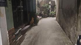 Bán nhà phố Hồ Tùng Mậu Mậu 45m2, loo gocs 3Thoáng, cách phố 50m.
 ## Nhà Đ Tư xây Ccmn rất đẹp. - Ảnh 5