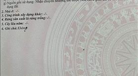 🔴💥bán dãy trọ đường đoàn phú tứ - gần ngô văn sở - Ảnh 2