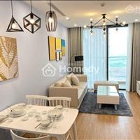 Chủ đầu tư - bán chung cư N1 Đội Cấn - Hoàng Hoa Thám - Ba Đình, nội thất đầy đủ, sổ đỏ vĩnh viễn
