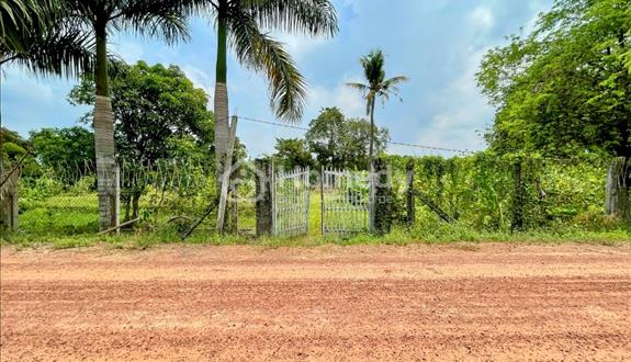 Bán vườn bên sông SG xã An Phú ,Củ Chi TPHCM , 2861 m2 , có 95m2 thổ cư  , giá 5,3 tỷ - Ảnh 1
