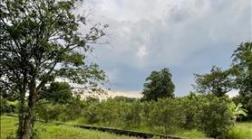 Bán vườn bên sông SG xã An Phú ,Củ Chi TPHCM , 2861 m2 , có 95m2 thổ cư  , giá 5,3 tỷ - Ảnh 8
