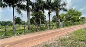 Bán vườn bên sông SG xã An Phú ,Củ Chi TPHCM , 2861 m2 , có 95m2 thổ cư  , giá 5,3 tỷ - Ảnh 2