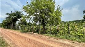 Bán vườn bên sông SG xã An Phú ,Củ Chi TPHCM , 2861 m2 , có 95m2 thổ cư  , giá 5,3 tỷ - Ảnh 3