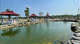 Bán đất dự án ALANA City - Ảnh 8